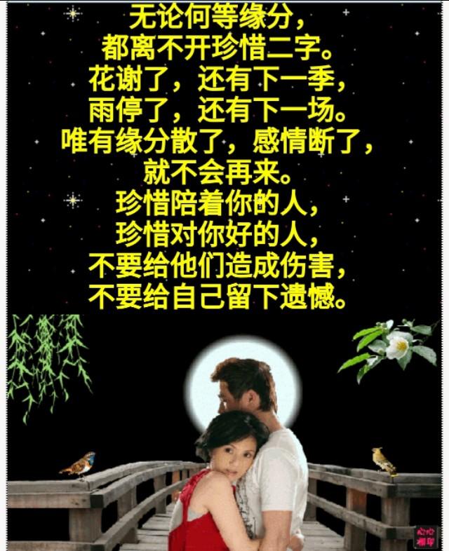 所谓缘分就是遇见了该遇见的人