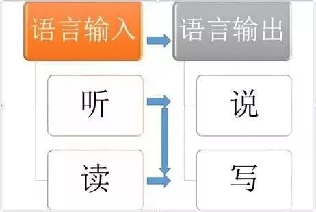 大思英語是面向4-12歲少兒的線上英語聽力訓練,專注於像學母語一樣來