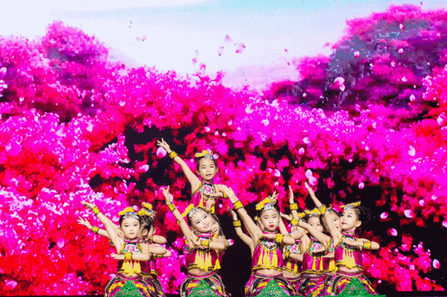 舞蹈培训机构教学不一样▼拉丁舞音乐欢快热烈或妩媚浪漫动作流畅大方