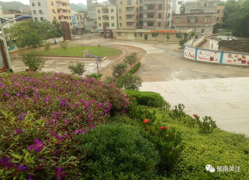 千官中学七九之歌勾起我们满满的回忆