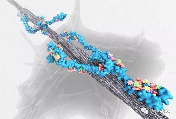 11张生物物理惊艳美图2019