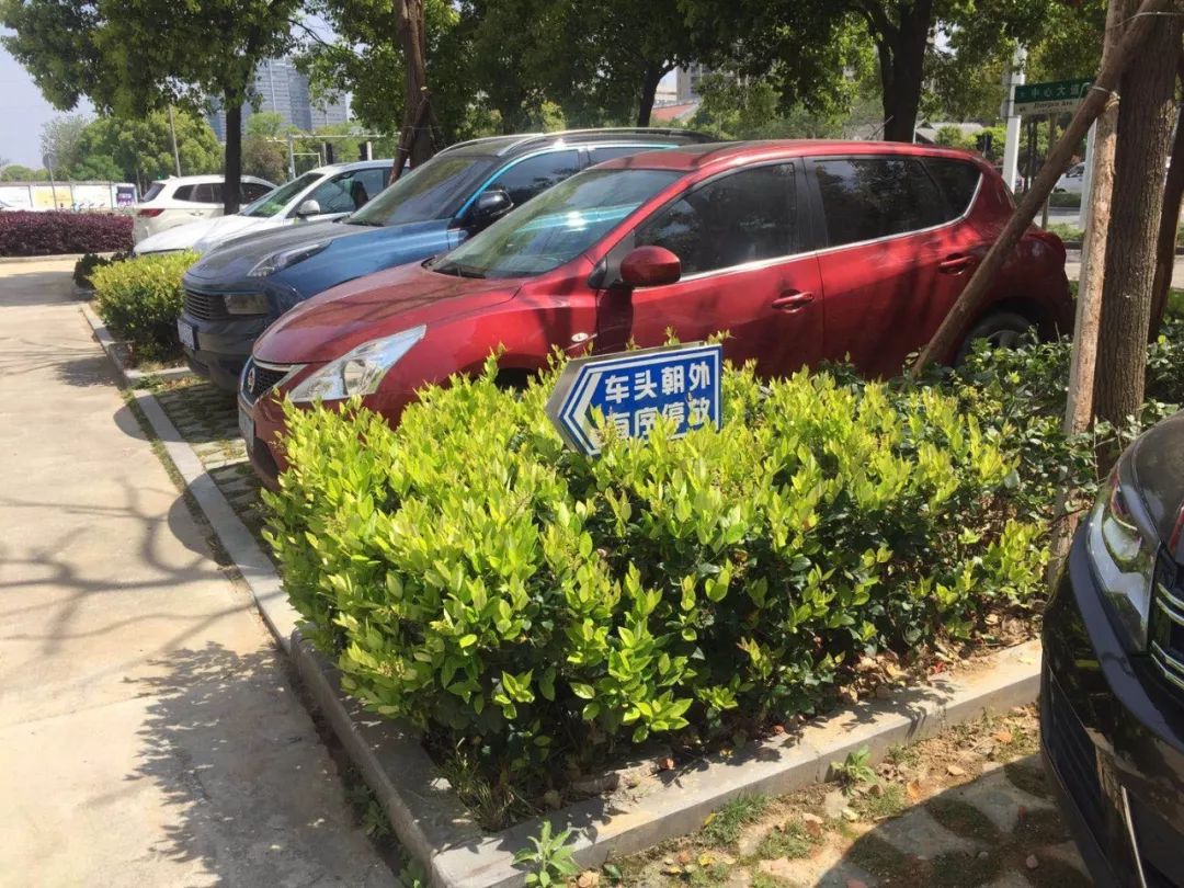 按照标识规范停车助推文明城市建设