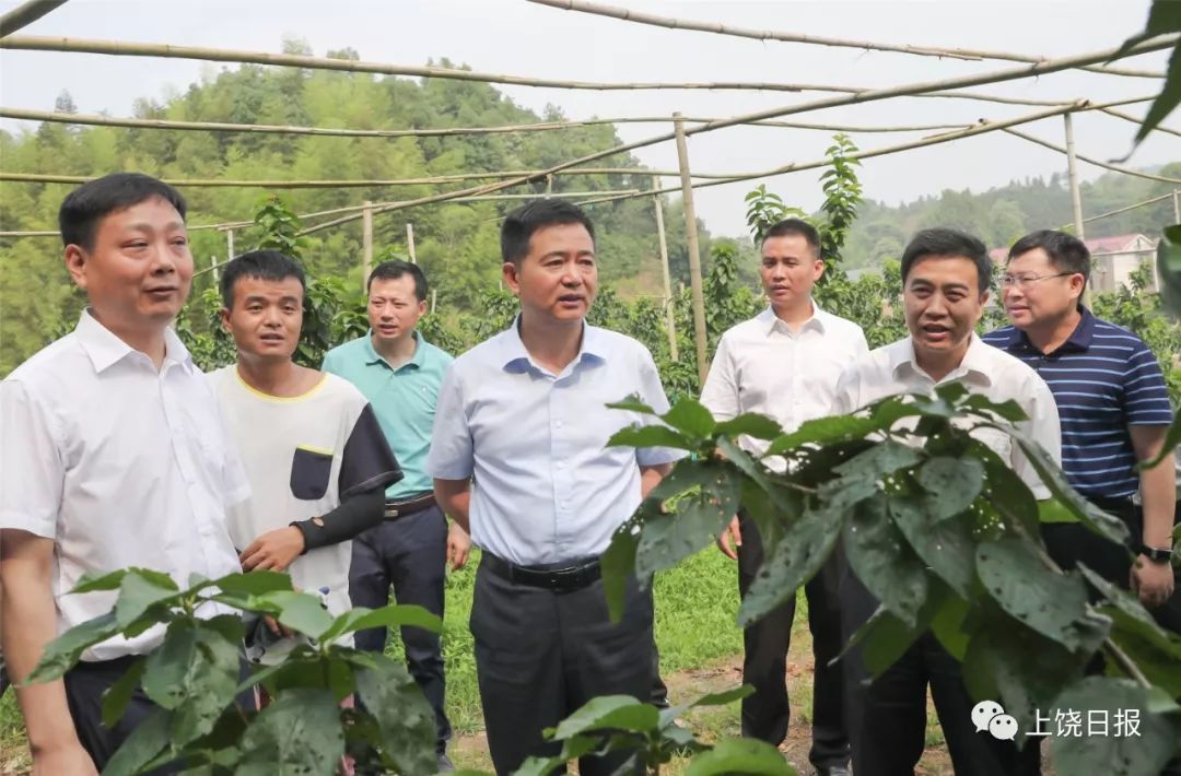 马承祖在上饶县铅山县横峰县弋阳县调研