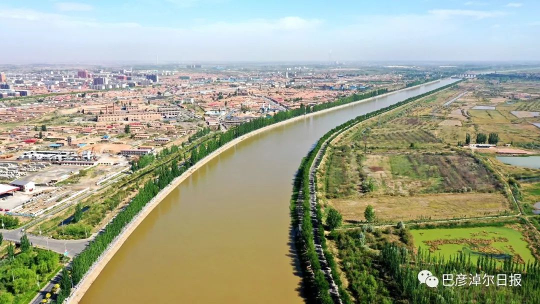 他们给总干渠披上了绿衣裳