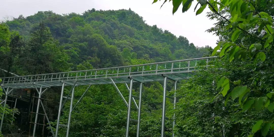 龙津溪地景区玻璃滑道图片