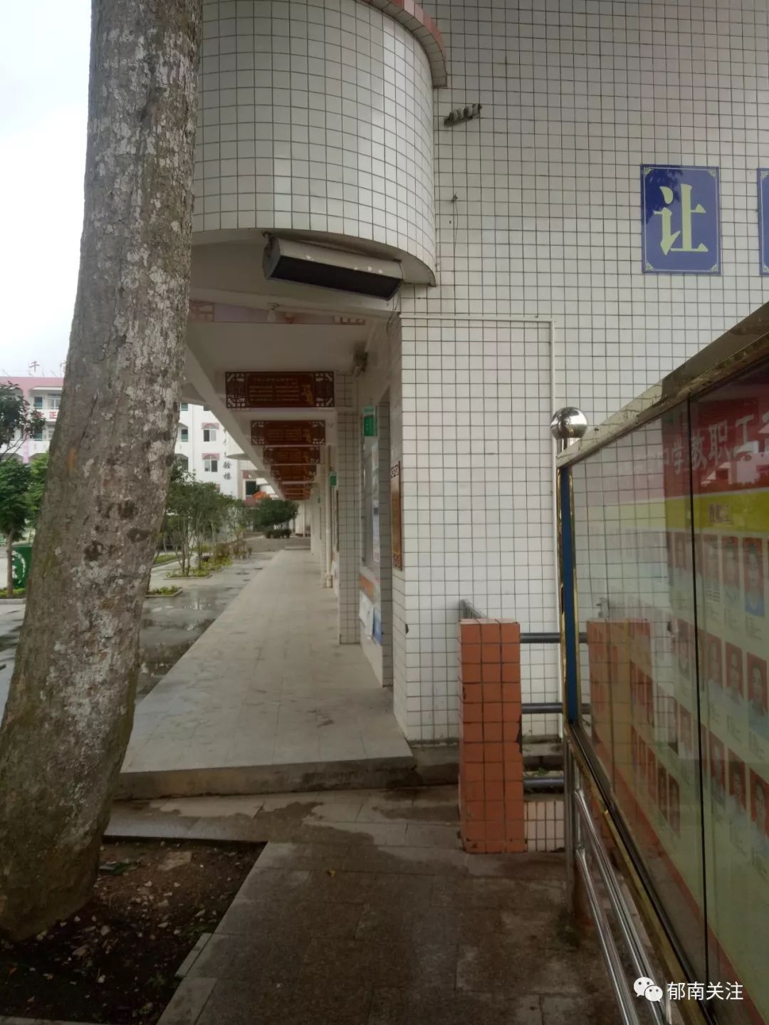 千官中学七九之歌勾起我们满满的回忆