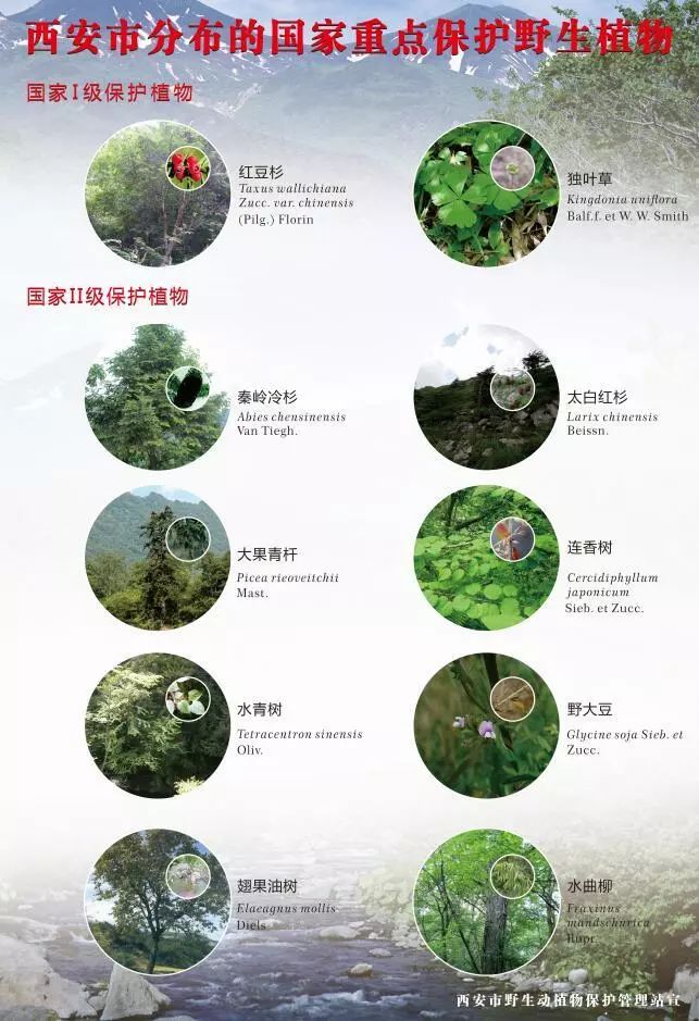 初中生物题库更新与解析：让学习更高效