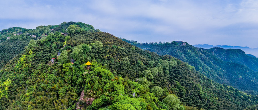 莫干山塔山图片