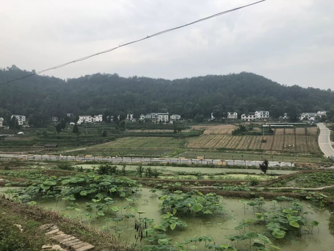 恩阳区柳林镇七颗石村此外,对无法通过产业发展和就业扶持脱贫的 340