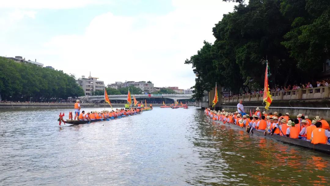 市桥河上龙舟穿梭来南郊村看龙舟景感受番禺龙舟文化