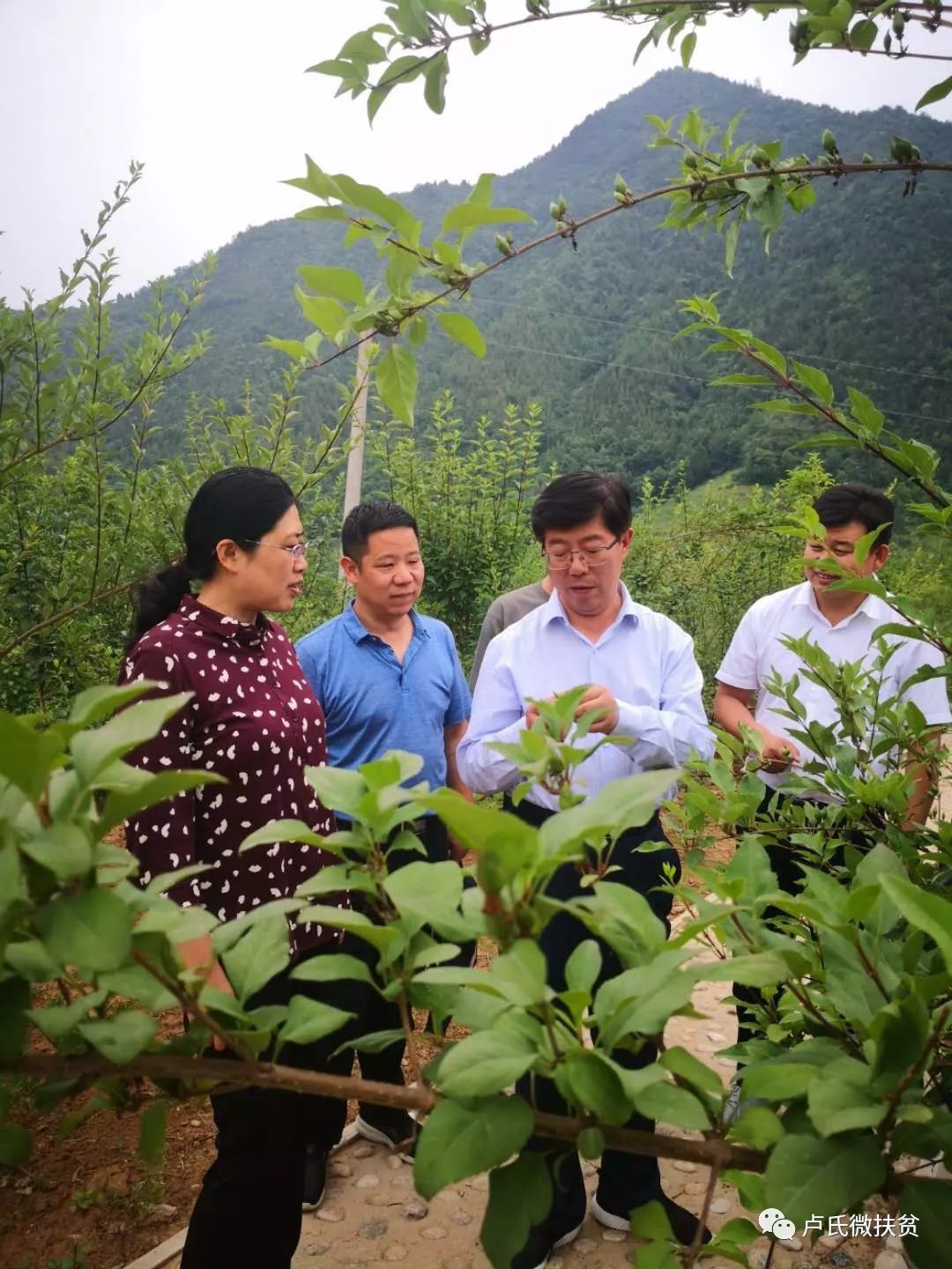 在徐家湾乡政府召开座谈反馈会上,乔建厚一行充分肯