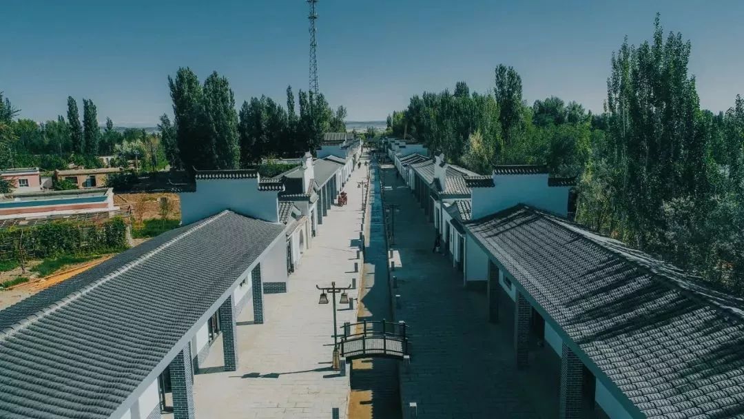 【壮丽70年 奋斗新时代】76天的"乌尔禾效率"——乌尔禾镇八匹马市场