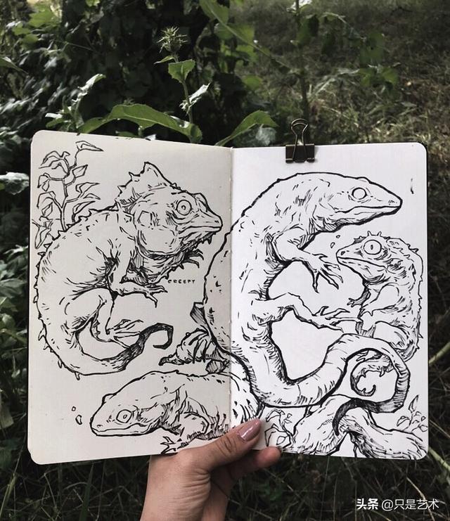 画笔下的奇特怪物