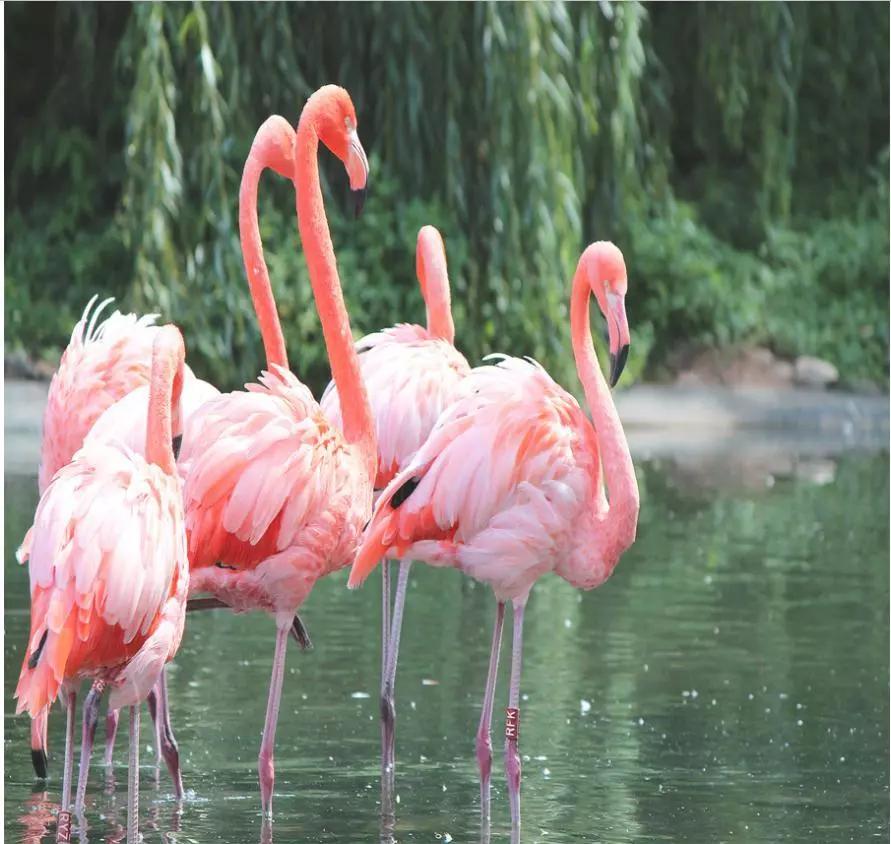 仔细想想区分渔场管理还是很简单的!