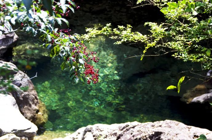 新景点新玩法瑞安龙井风景区