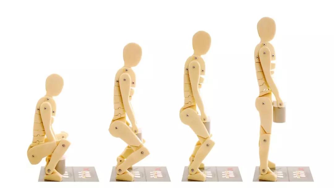 熟练动作的变异性?6个蹲起动作提高可变性!