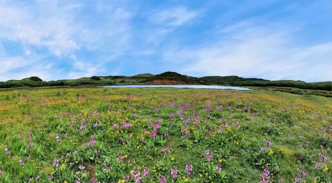 美到醉人云南省第三批省级重要湿地永善县茂林镇永安村大海子