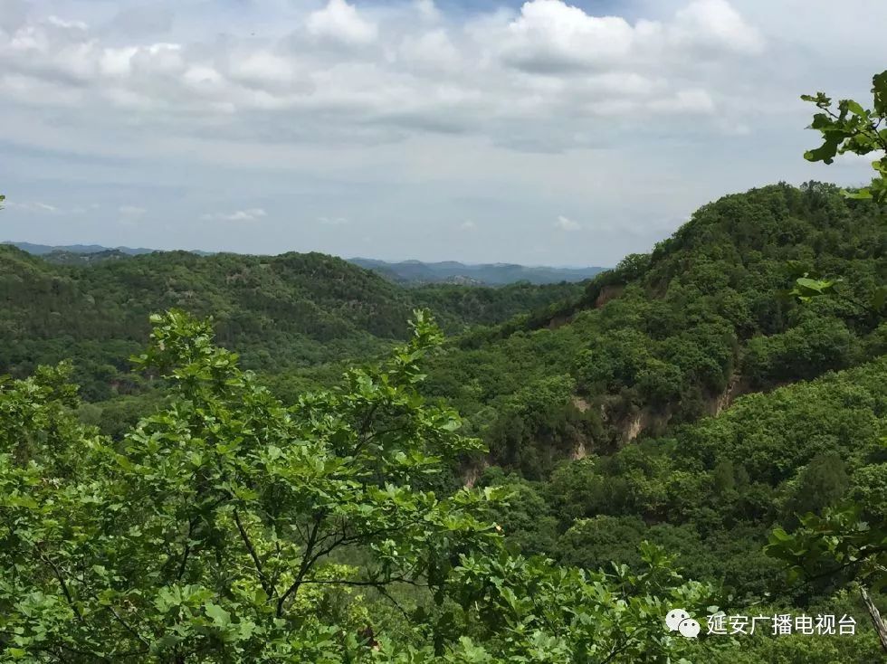 劳山国家森林公园让您在天然氧吧体验森林之旅