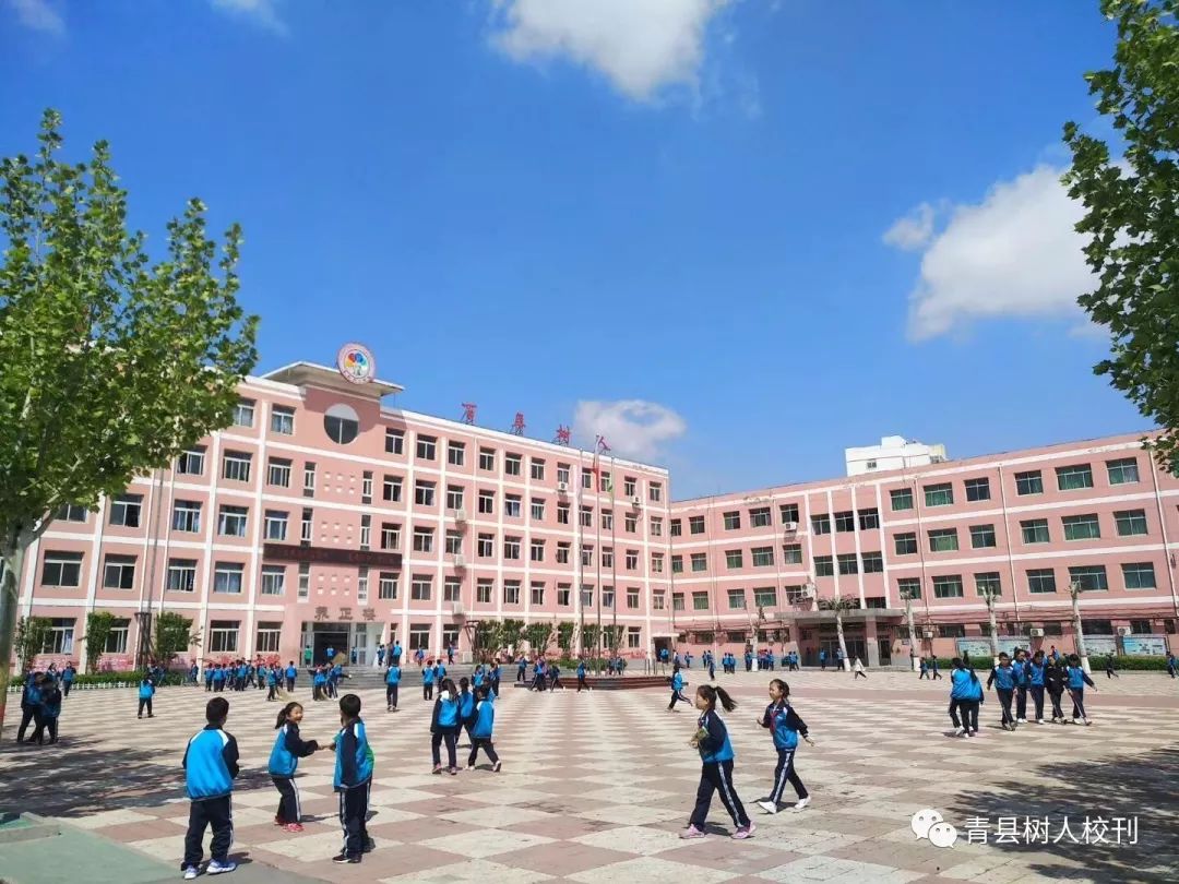 未来已来全国青少年机器人技术等级考试6月15日青县树人学校等你来