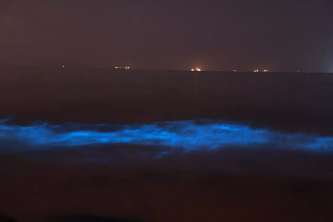秦皇岛昨夜又现荧光海多图多视频