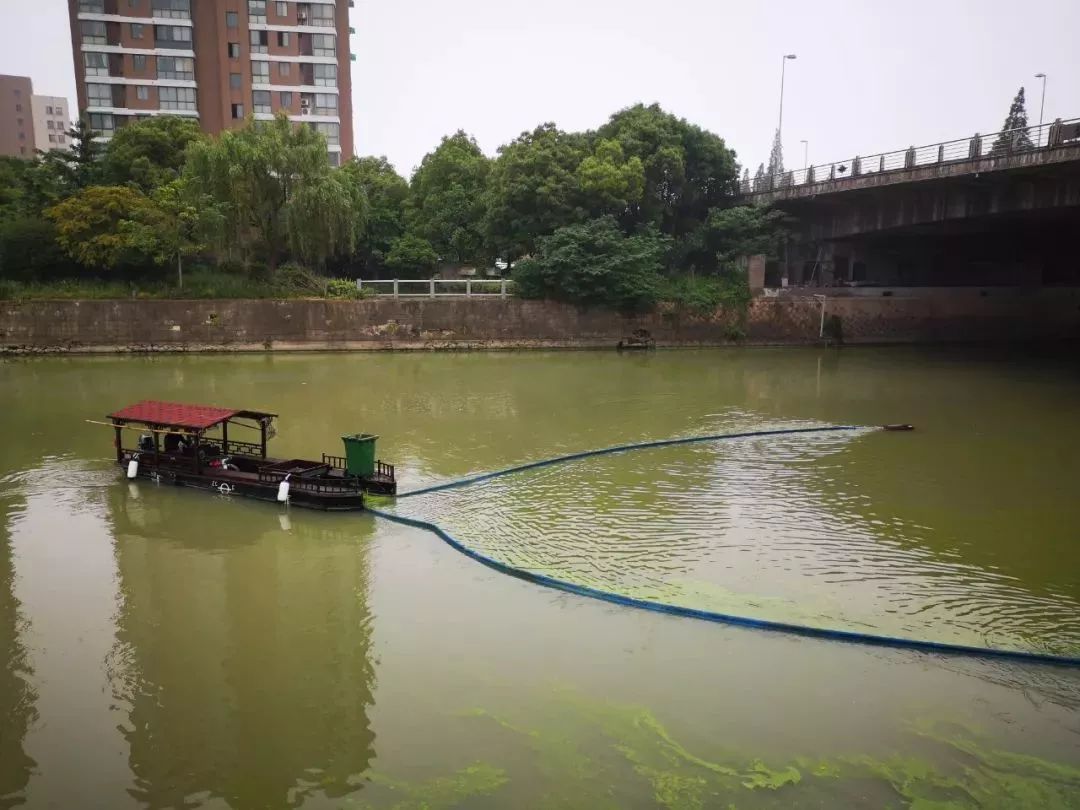 信息共享协同治理省际联防联治太湖蓝藻水华有先手