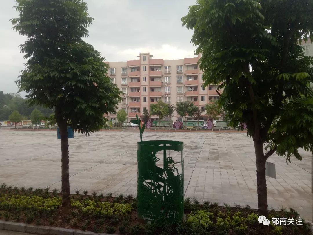 千官中学七九之歌勾起我们满满的回忆