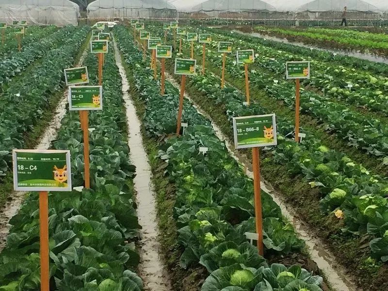 你有良种我来推600个免推名额等着你