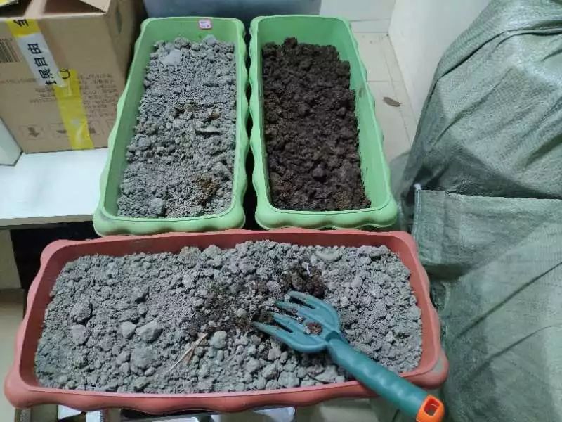 活动预告免费体验新时尚厨余垃圾堆肥工作坊