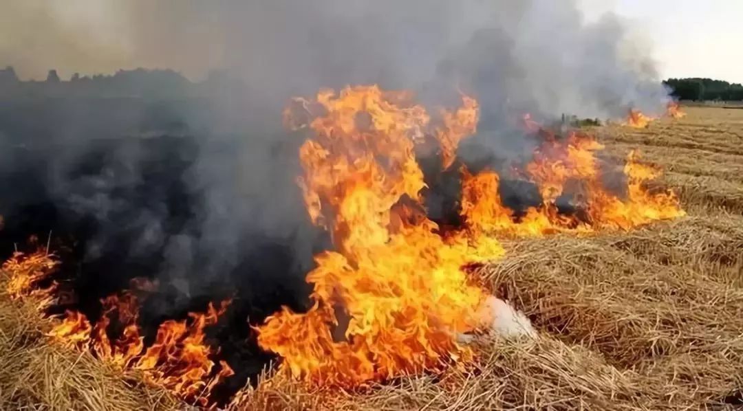 苯燃烧为什么产生黑烟为什么在线