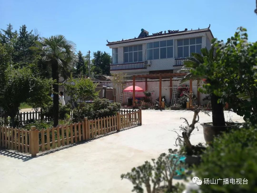 "最美庭院"有多美?——家庭"小细胞" 扮靓"大环境"