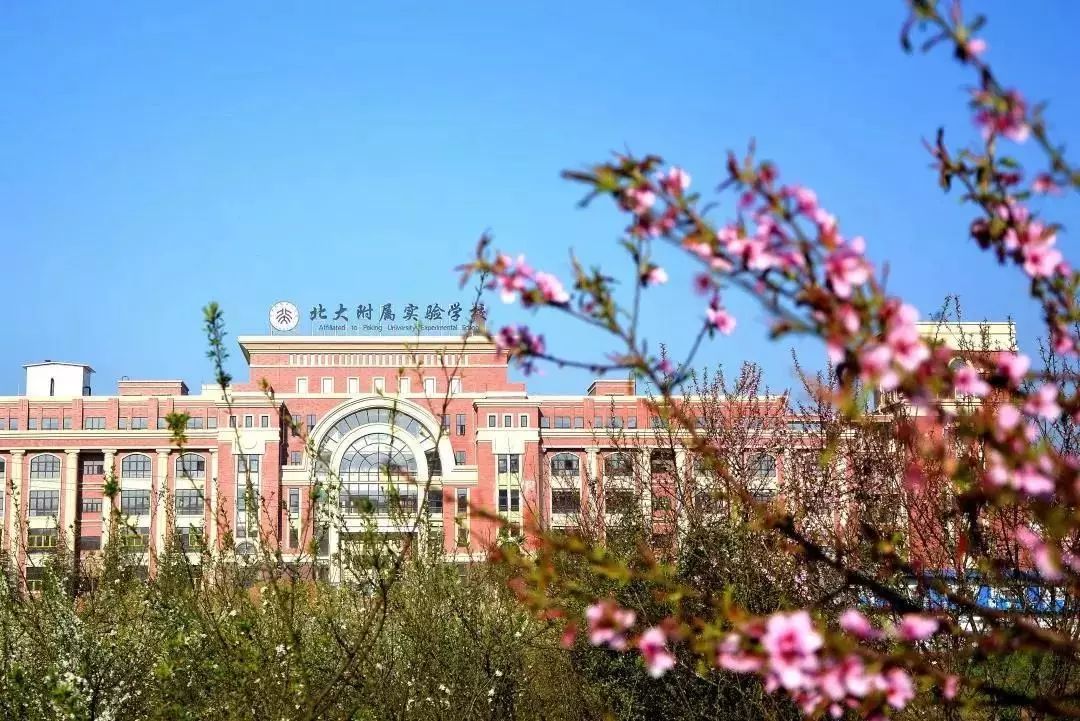 共青团贵州省委,北大青鸟集团,清镇市北大附属实验学校决定,20