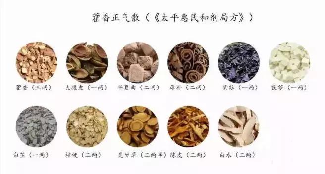 夏天养猪离不开藿香正气防治热应激