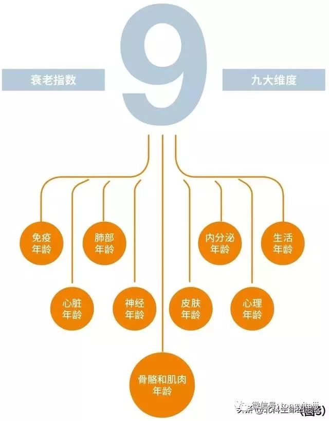 人体的衰老时间超出你的想象
