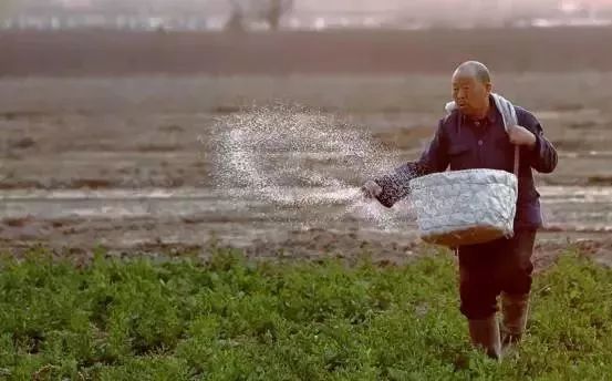 把化肥撒到地里最适当.