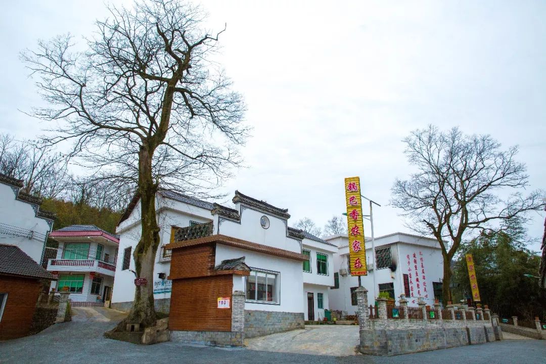 贵州日报黄家寨垃圾变农肥污水变清水