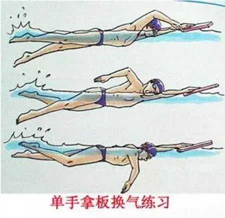自由泳4次打腿图解图片