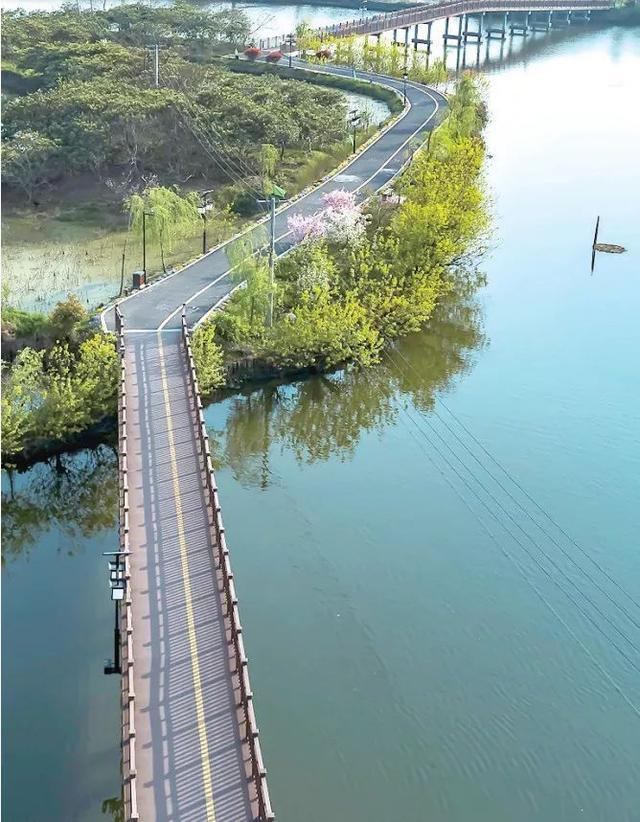 超美这条滨水游步道你走过没有它串联全镇未来还有水上游线