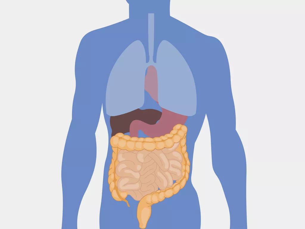 胃肠型感冒在中医属"泄泻"范畴,主要病变在脾胃与大小肠.