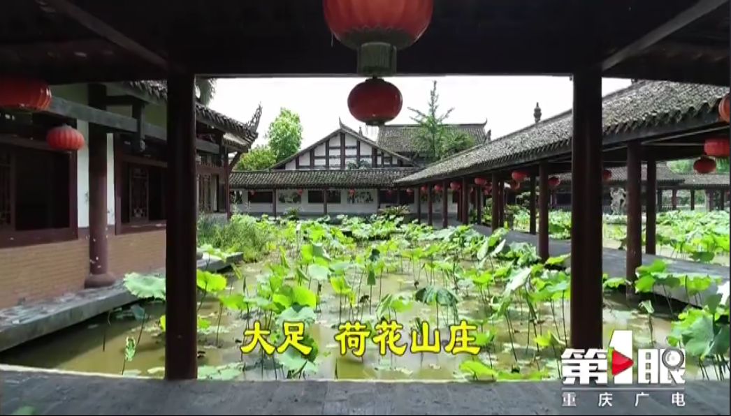 来大足体验一场穿越古今的旅行_荷花