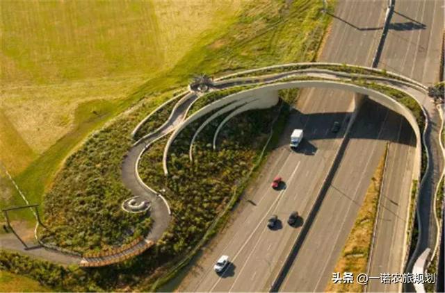 在水之上景观桥的创意