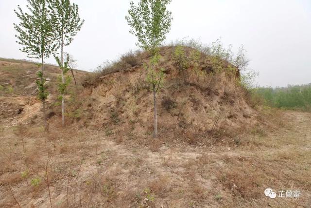 卢照邻下笔则烟飞云动落纸则鸾回凤惊下韦力撰