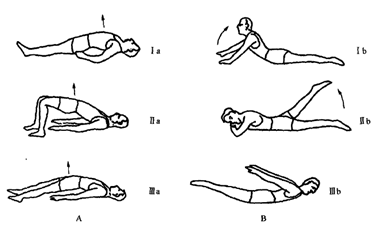 mdt-r学术系列专题(一):脊柱康复治疗概述_运动