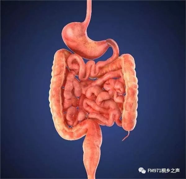 当晚,值班医生就给沈先生做了腹腔镜穿孔修补术,术中见胃内容物流出