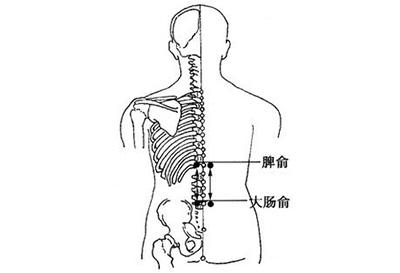 4,脾俞穴