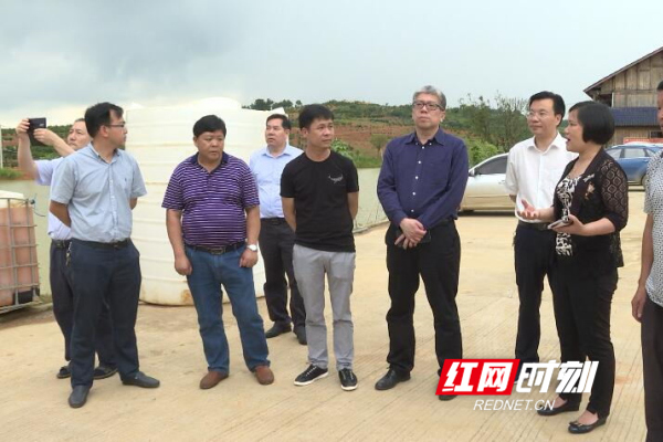 江华县委副书记,县长龙飞凤,县委副书记龙赋云,副县长黄守平陪同调