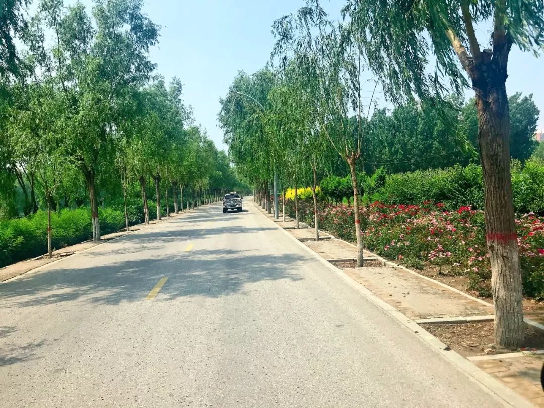 不懈怠再出发南孙庄乡开展村庄清洁行动拉练活动