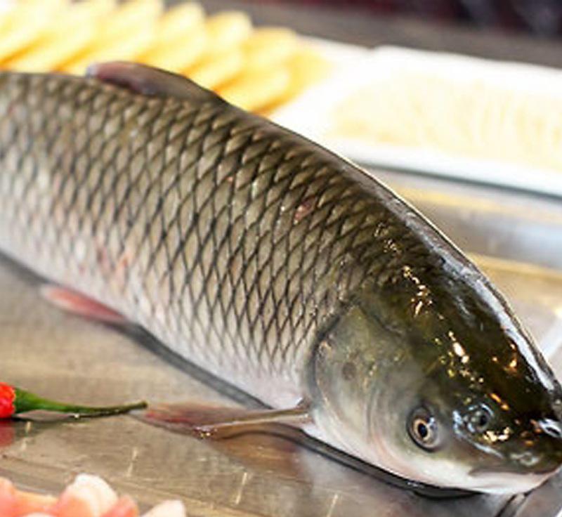 不能清水煮鱼,会腥,鱼的腥味很大成分属胺化物,呈弱碱性,而食醋中的