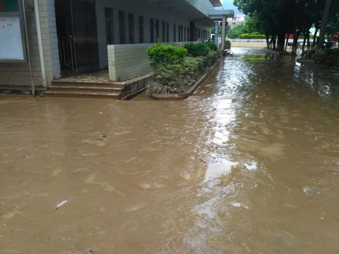 市政公用事业服务中心,皇华中学师生,家长和附近居民组成的100多人的