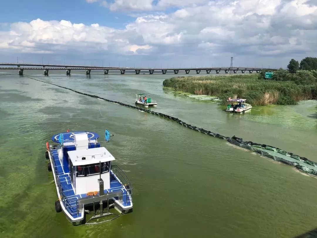 信息共享协同治理省际联防联治太湖蓝藻水华有先手