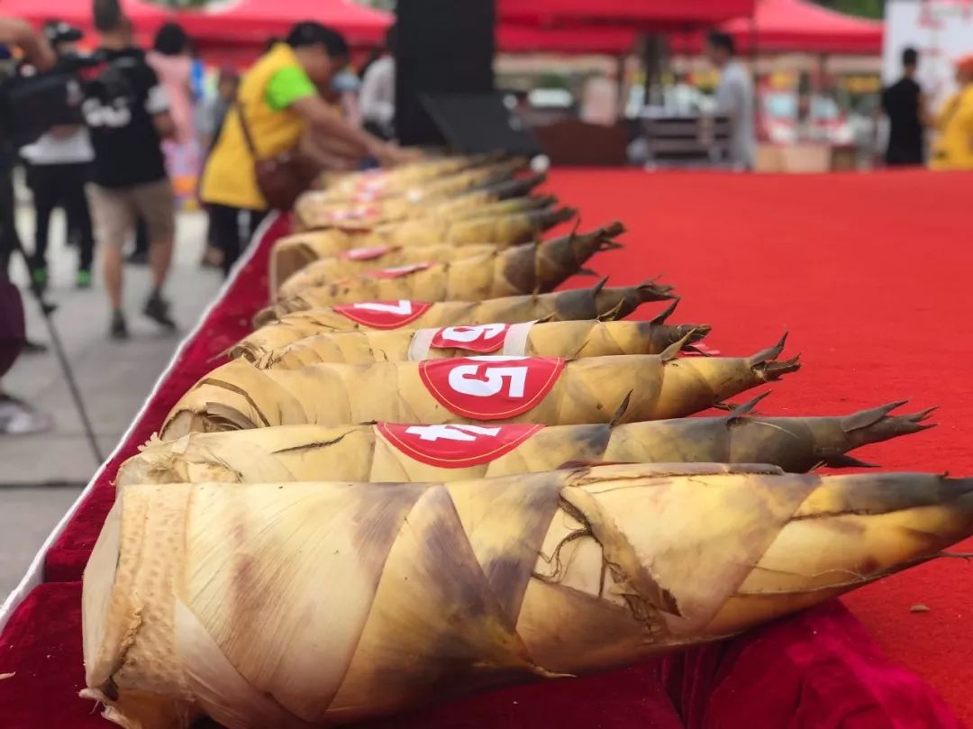 本周六广佛小记者去张槎国笋文化节探营_沙口